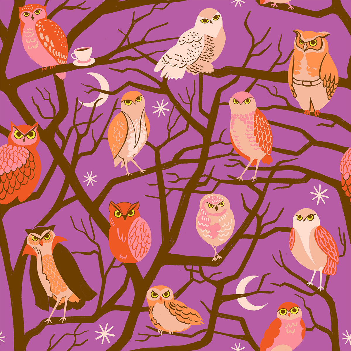 PREORDER: Freaky Familiars Who Cooks For You in Witchy