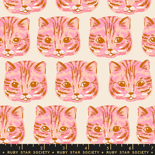 PREORDER: Oops All Cats Meow Meow in Sorbet