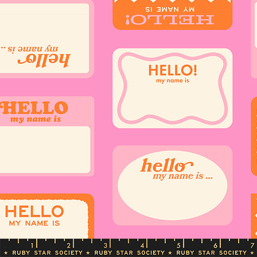 PREORDER: Sticker Book Hello My Name Is in Flamingo