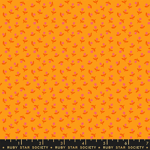 PREORDER: 1-800-CALICO Sprout in Cheddar