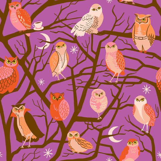 PREORDER: Freaky Familiars Who Cooks For You in Witchy