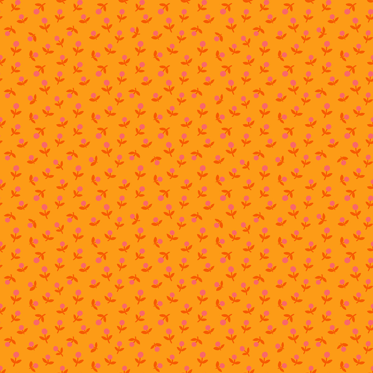 PREORDER: 1-800-CALICO Sprout in Cheddar