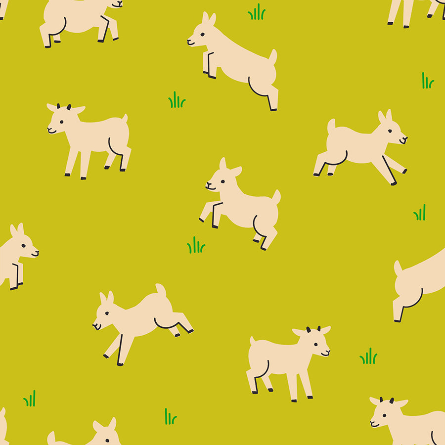 PREORDER: Baby Goats Pistachio