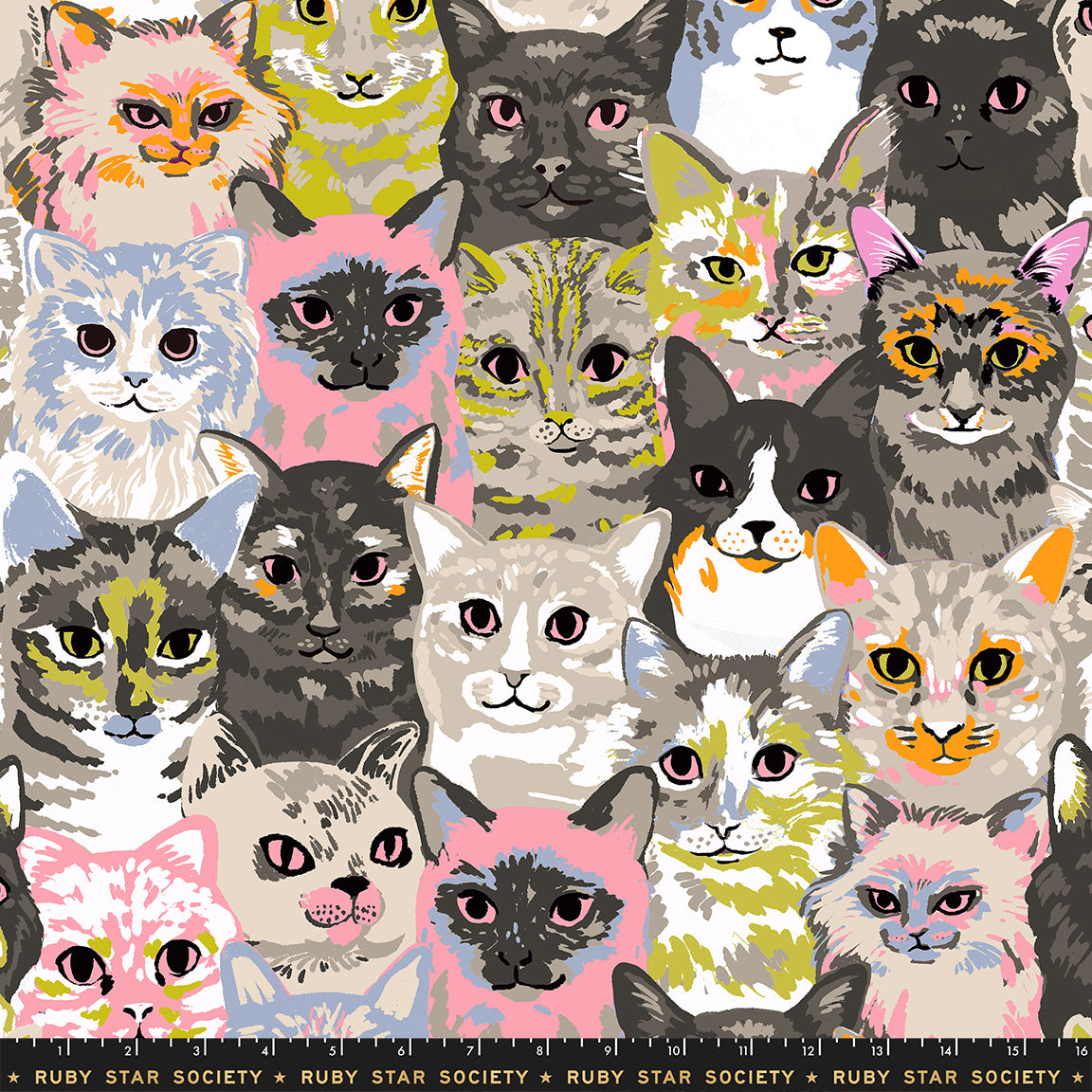 PREORDER: Oops All Cats Hundreds of Cats in Sandbox