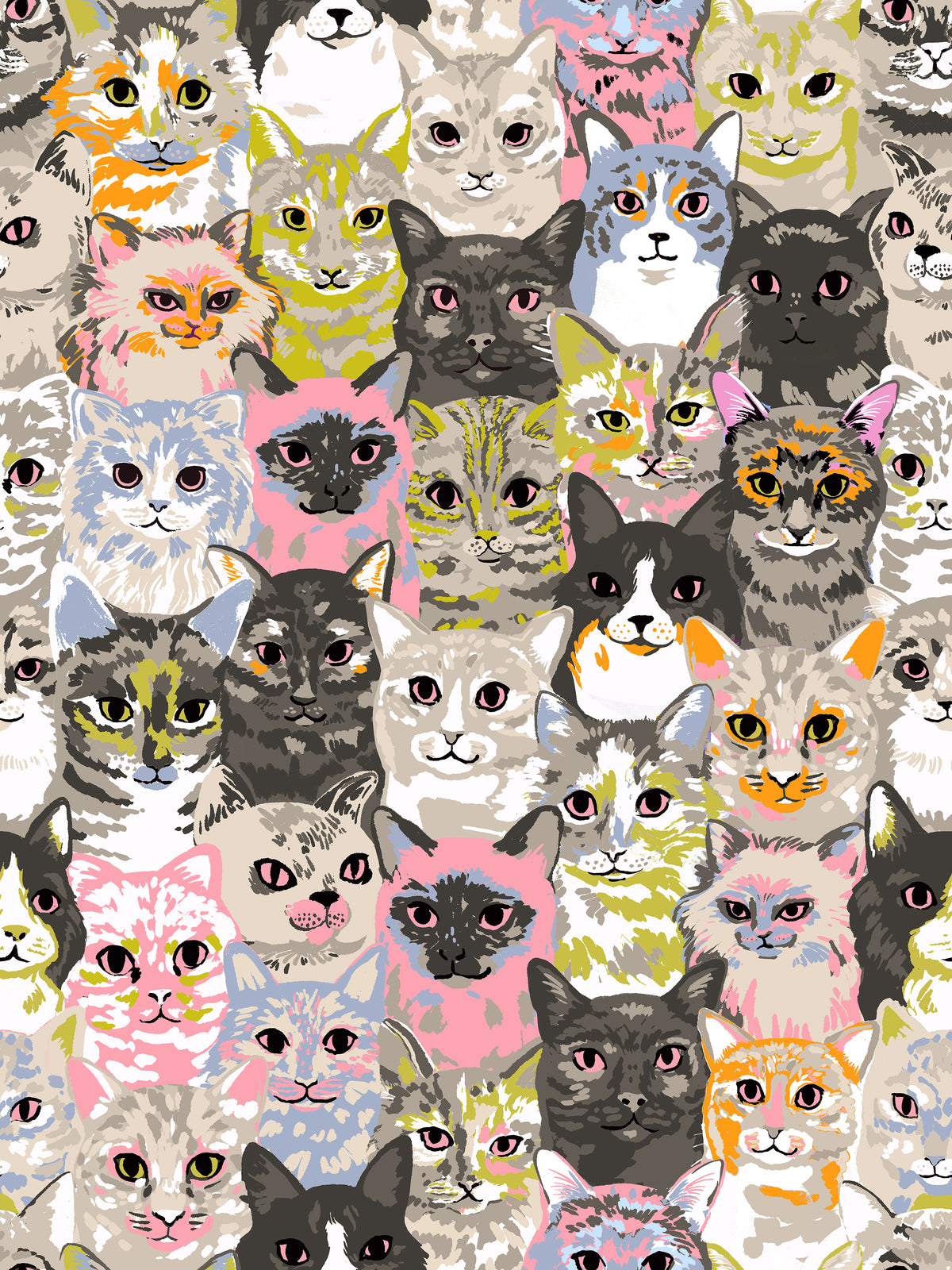 PREORDER: Oops All Cats Hundreds of Cats in Sandbox