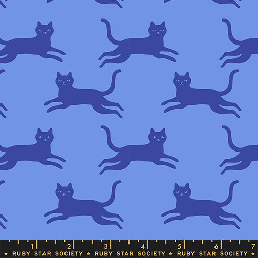 PREORDER: Oops All Cats Kitty Run in Lindley Blue