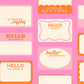 PREORDER: Sticker Book Hello My Name Is in Flamingo