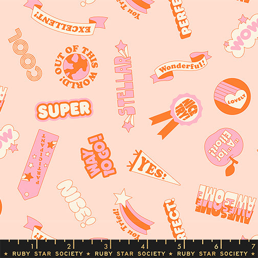 PREORDER: Sticker Book Reward Stickers in Pale Peach