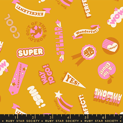 PREORDER: Sticker Book Reward Stickers in Goldenrod