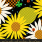 PREORDER: Daisy Days Daisy Days in Black