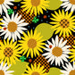 PREORDER: Daisy Days Daisy Days in Black