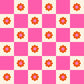 PREORDER: Daisy Days Flowers Check in Playful