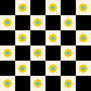 PREORDER: Daisy Days Flowers Check in Black