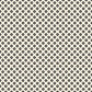 PREORDER: Daisy Days Daisy in Black on Natural