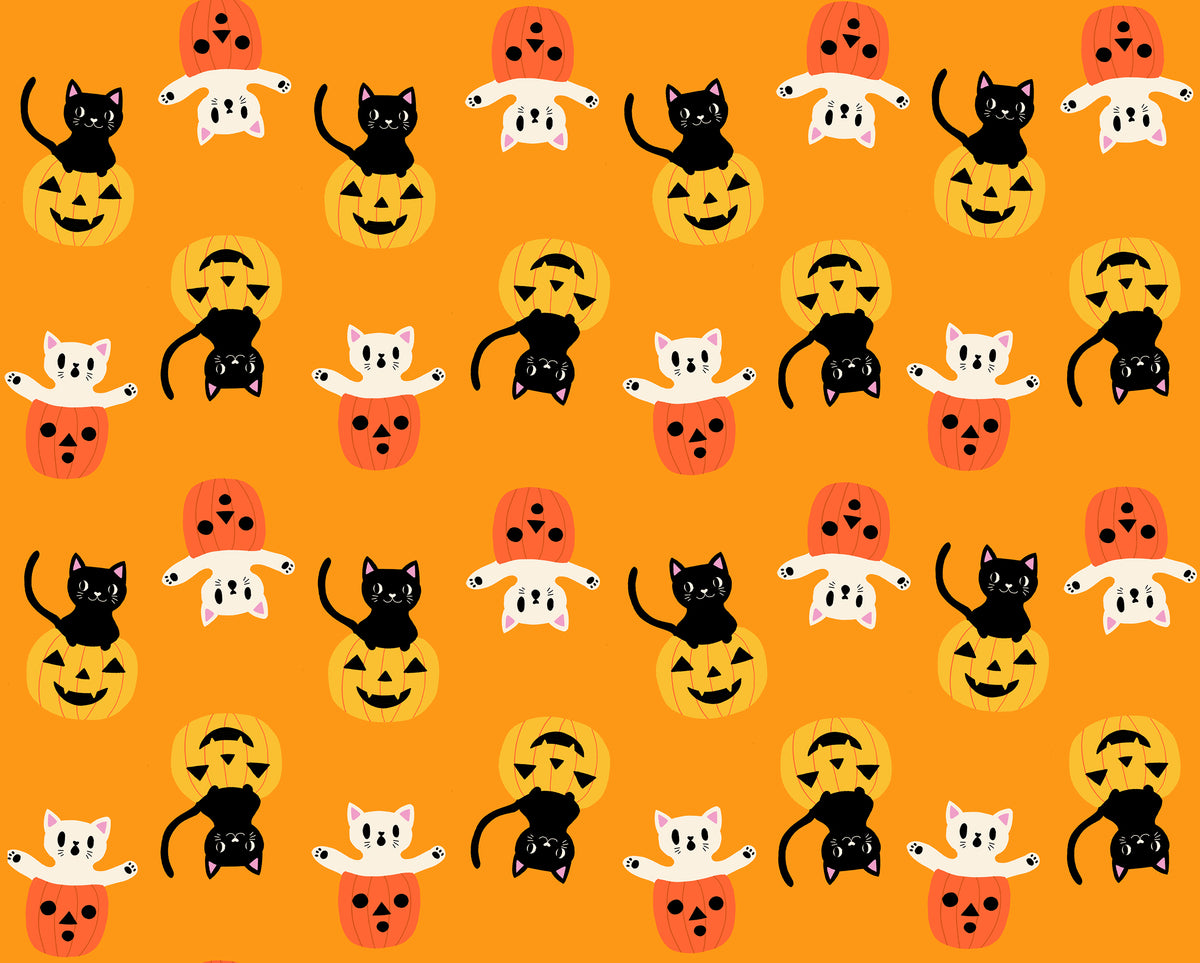 PREORDER: Boo Valley Boo to You in Cheddar