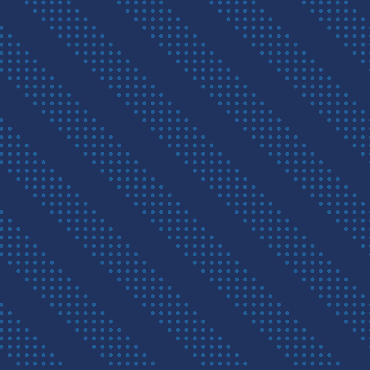 PREORDER: Sidekicks Dottie in Navy
