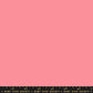 PREORDER: Ruby Star Solids in Sorbet