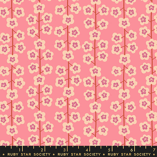 PREORDER: Corsage Baby's Breath in Sorbet