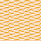 PREORDER: Corsage Ribbons in Creamsicle