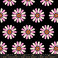 Preorder: Sparkle Mart Freshly Picked in Black